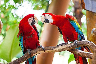 《宣誓》世界地图将和《天外世界》差不多大